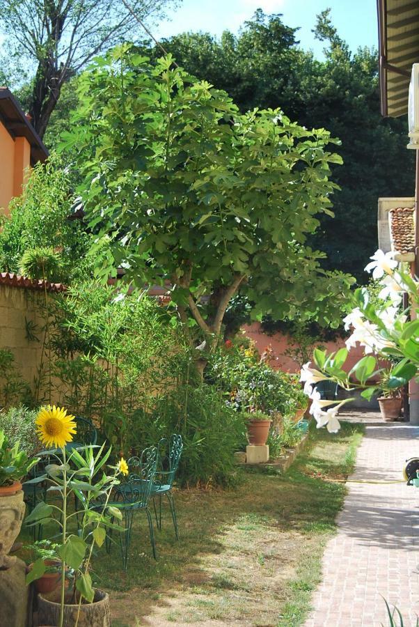 Bergamo Bassa Bed & Breakfast エクステリア 写真